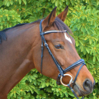 KENTAUR - Griffin Bridle