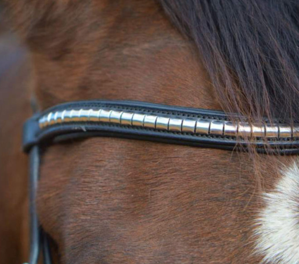 KENTAUR - Griffin Bridle
