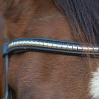 KENTAUR - Griffin Bridle