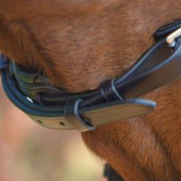 KENTAUR - Griffin Bridle