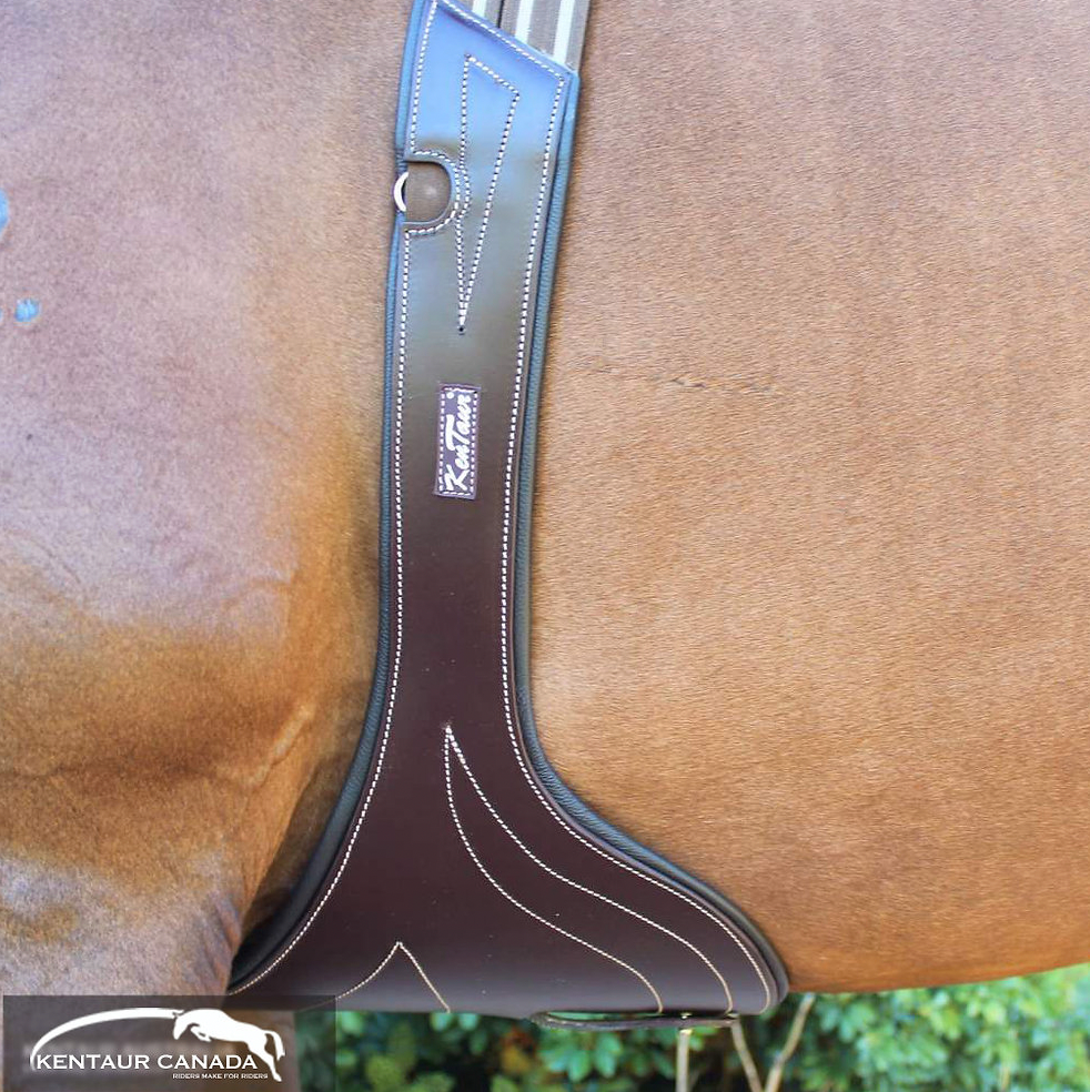 KENTAUR - Avignon Stud Girth