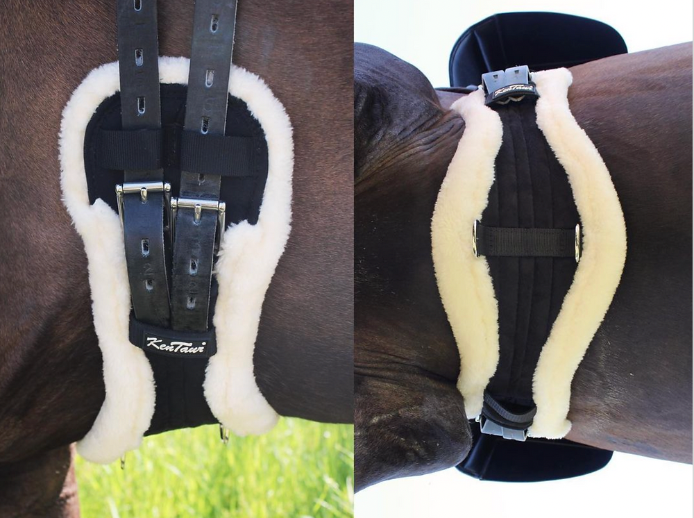 KENTAUR - Stockholm Girth