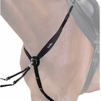 KENTAUR - Napoli Breastplate