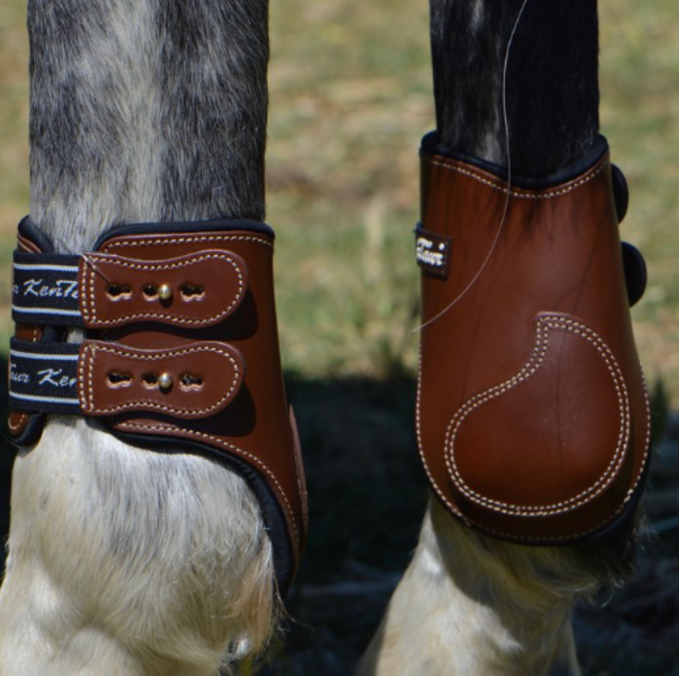 KENTAUR - Roma Leather Fetlock Boots (PONY SIZE AVAILABLE)