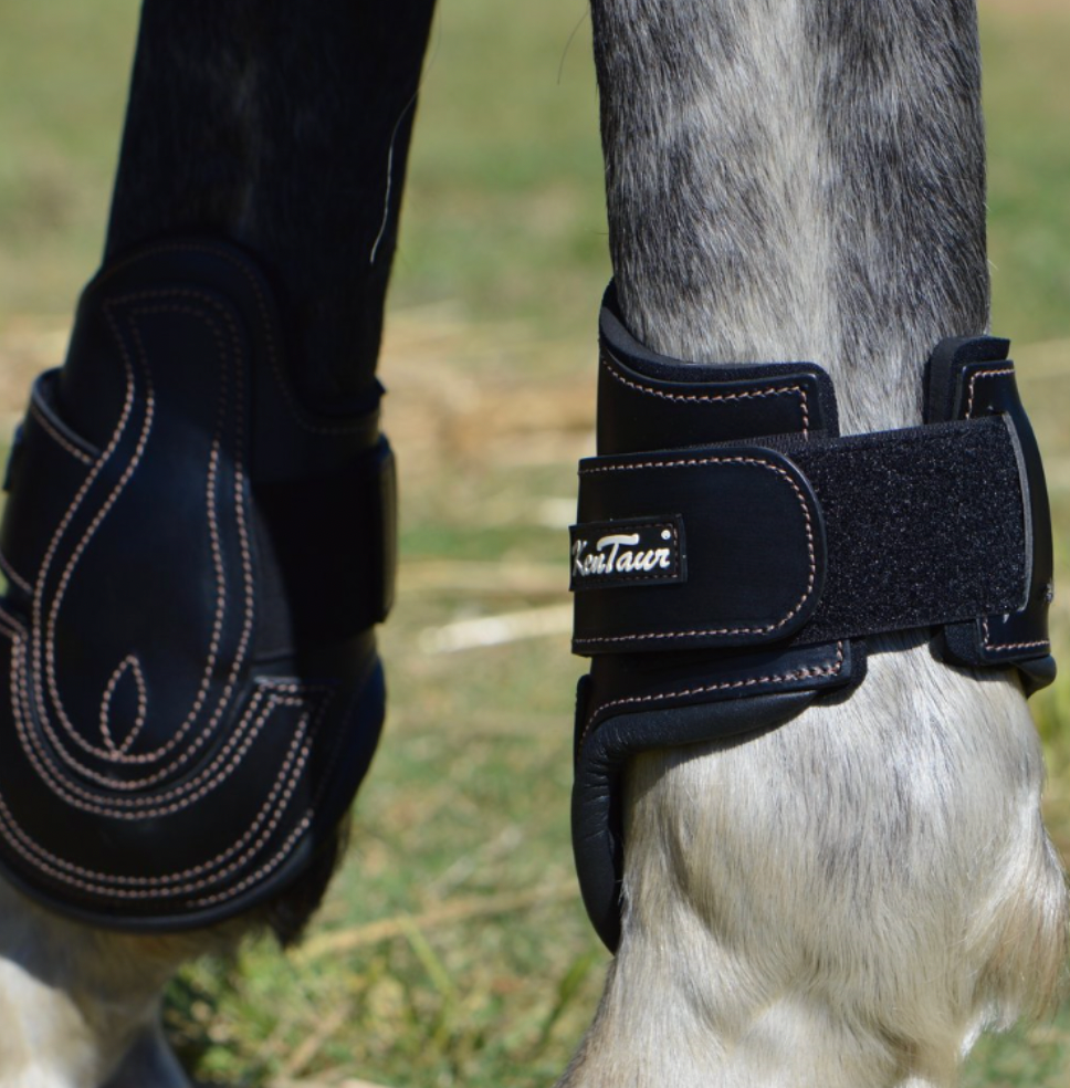 KENTAUR - Carmona Fetlock Jumping Boot