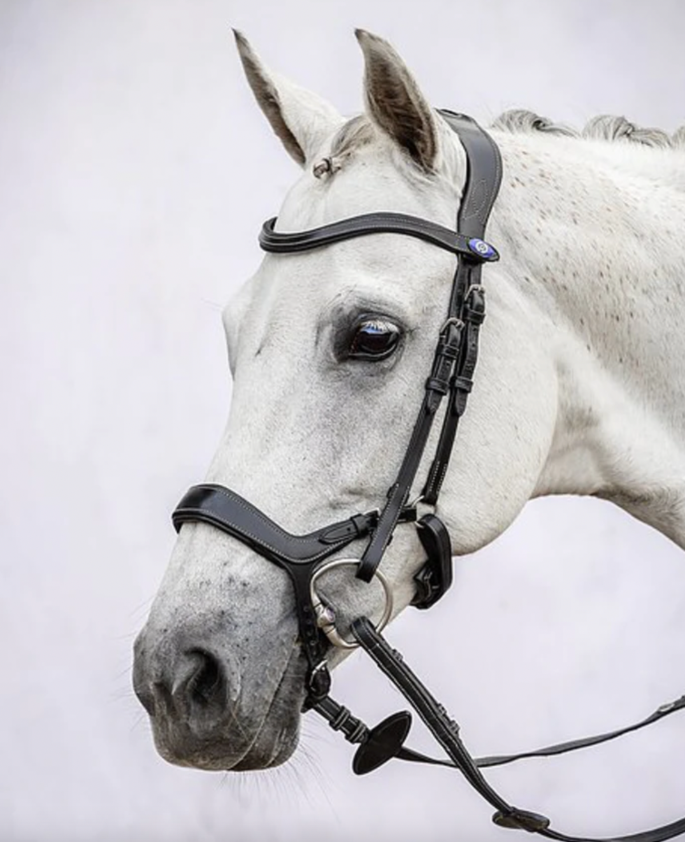 PS OF SWEDEN - Pioneer Bridle