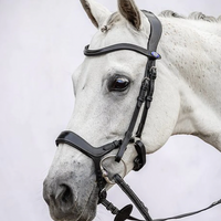PS OF SWEDEN - Pioneer Bridle