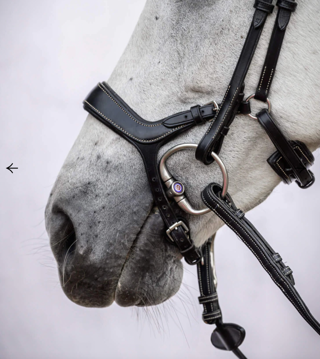 PS OF SWEDEN - Pioneer Bridle