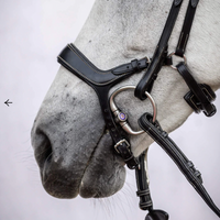 PS OF SWEDEN - Pioneer Bridle