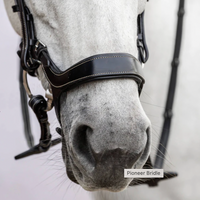 PS OF SWEDEN - Pioneer Bridle