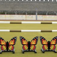 Butterfly Standards, including 3 filler butterflies