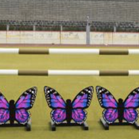 Butterfly Standards, including 3 filler butterflies