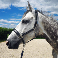 KENTAUR - Leather Halter with Decorative Stitching