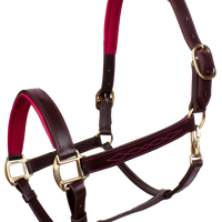 KENTAUR - Leather Halter with Colour