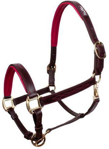 KENTAUR - Leather Halter with Colour