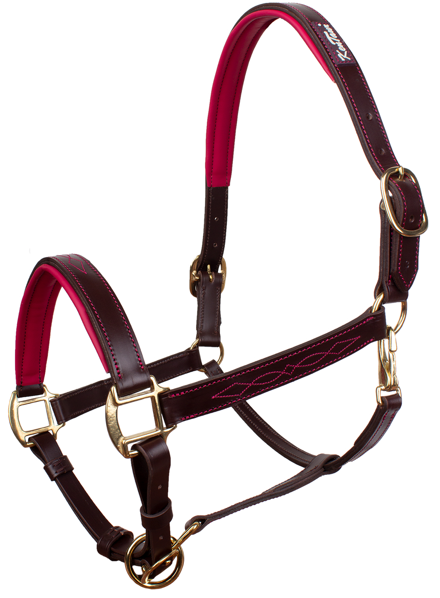 KENTAUR - Leather Halter with Colour