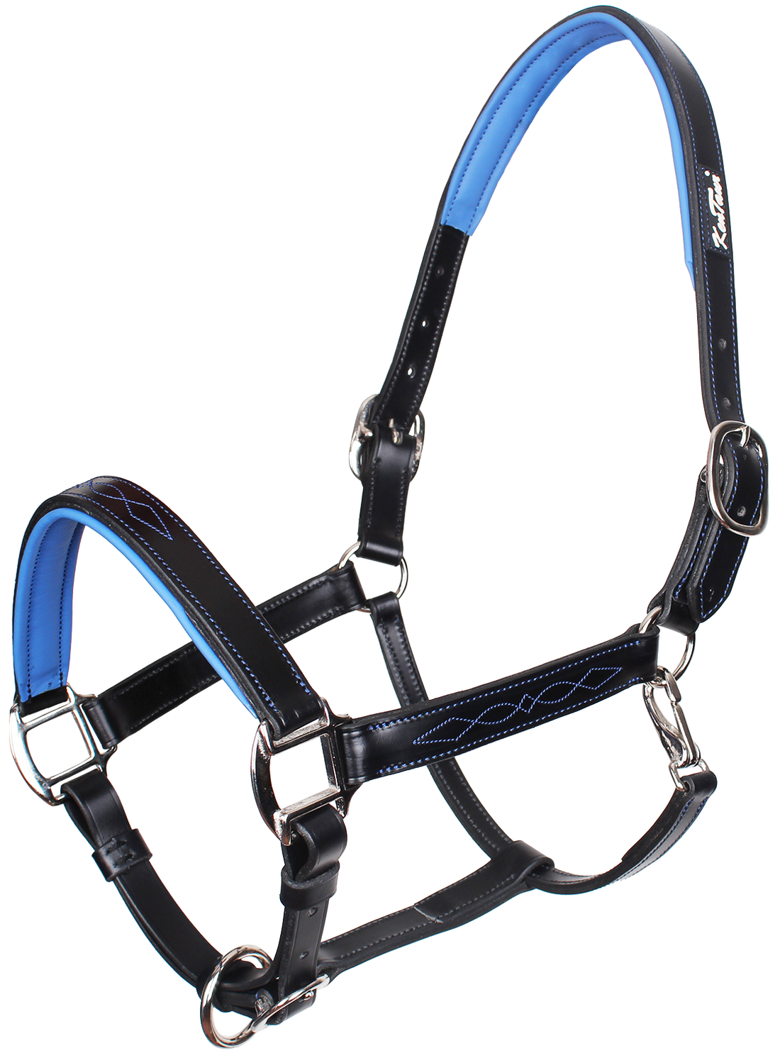 KENTAUR - Leather Halter with Colour