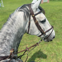 Maurel Sellerie - Combined Noseband Bridle