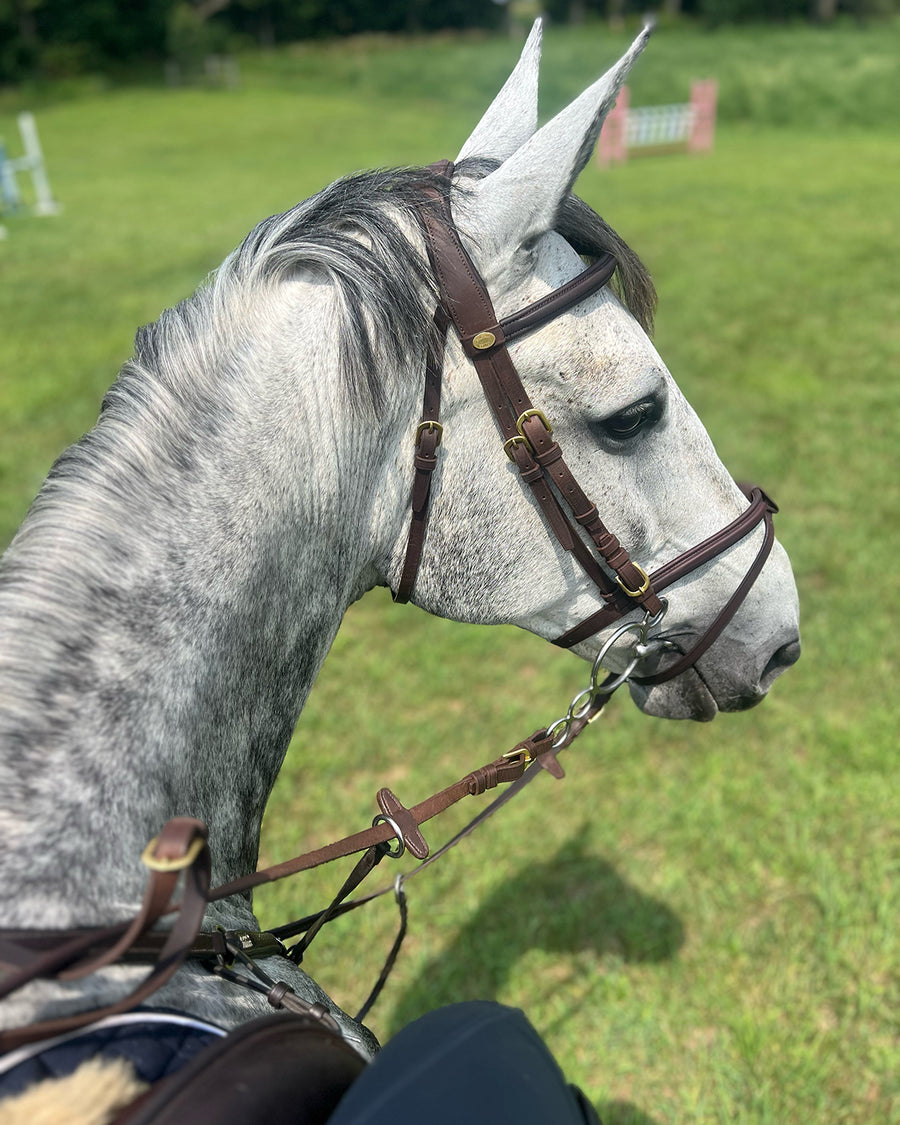 Maurel Sellerie - Combined Noseband Bridle