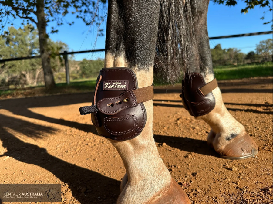 KENTAUR - Roma Flicker 14" Hind Boot