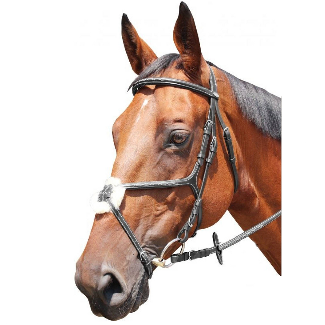 KENTAUR - Knoxville Bridle