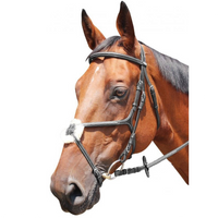 KENTAUR - Knoxville Bridle