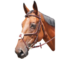 KENTAUR - Knoxville Bridle