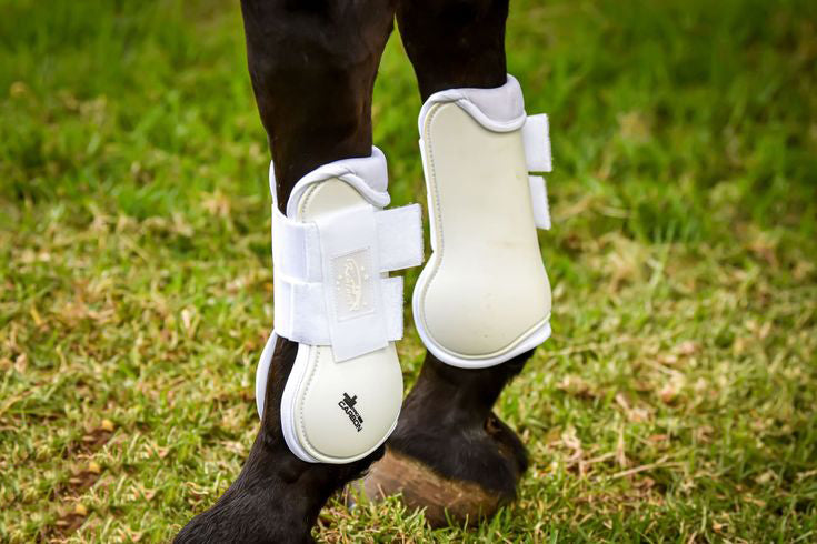 KENTAUR - Pro Carbon Front Tendon Boot