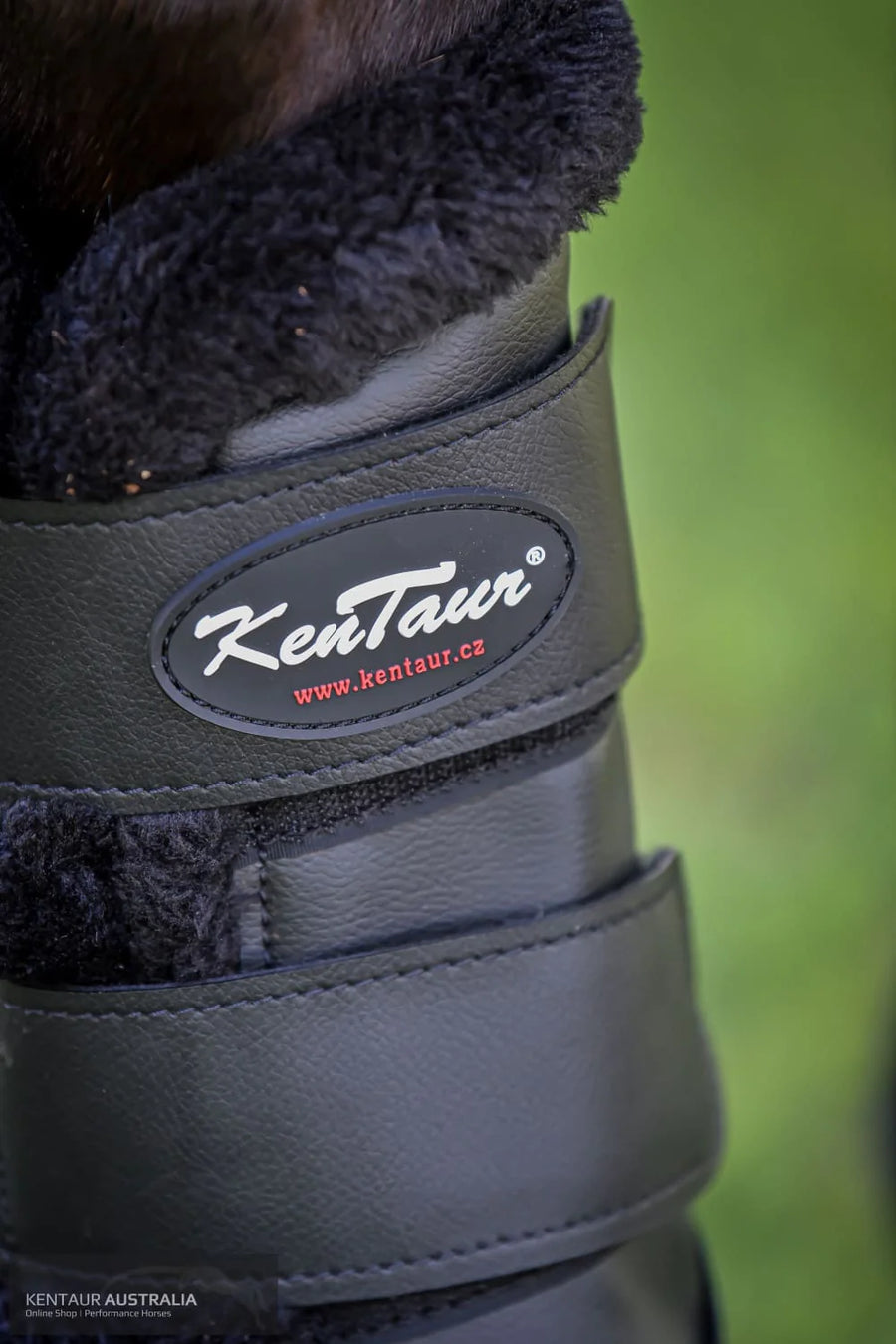 KENTAUR - Dressage Boot