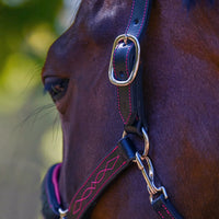 KENTAUR - Leather Halter with Colour