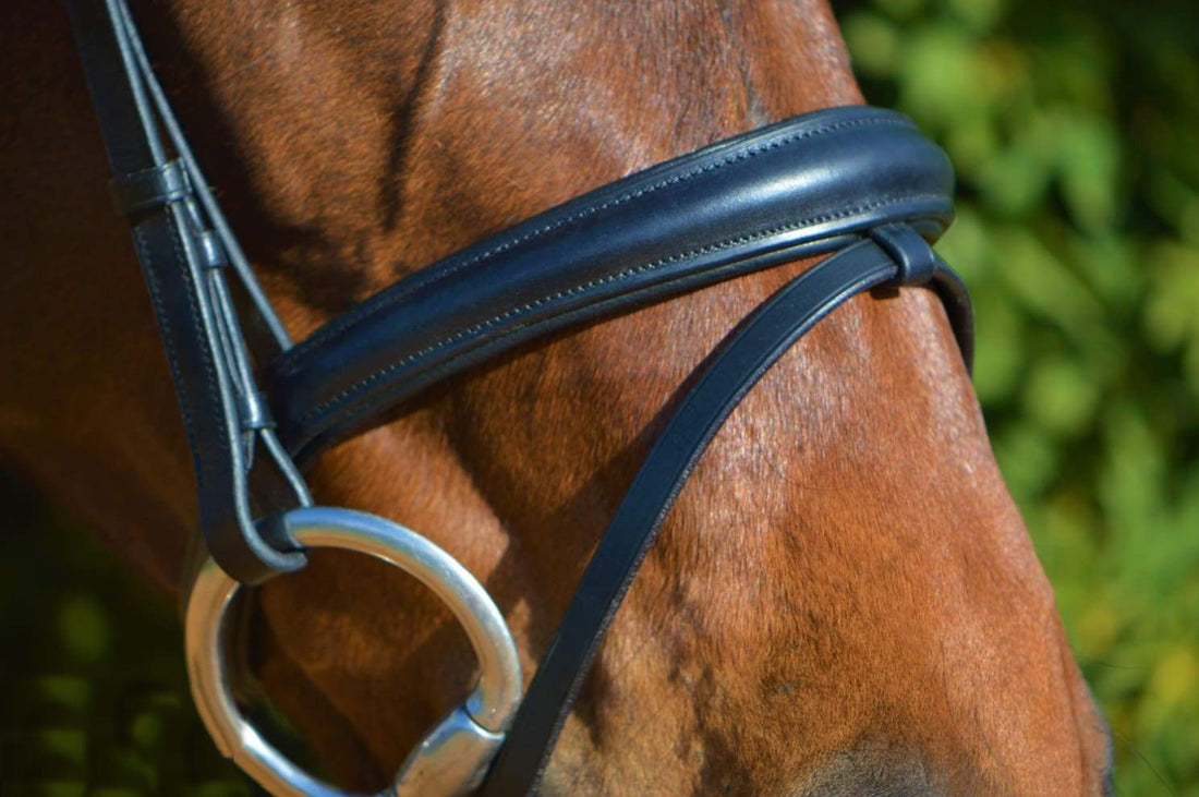 KENTAUR - Columbia Bridle