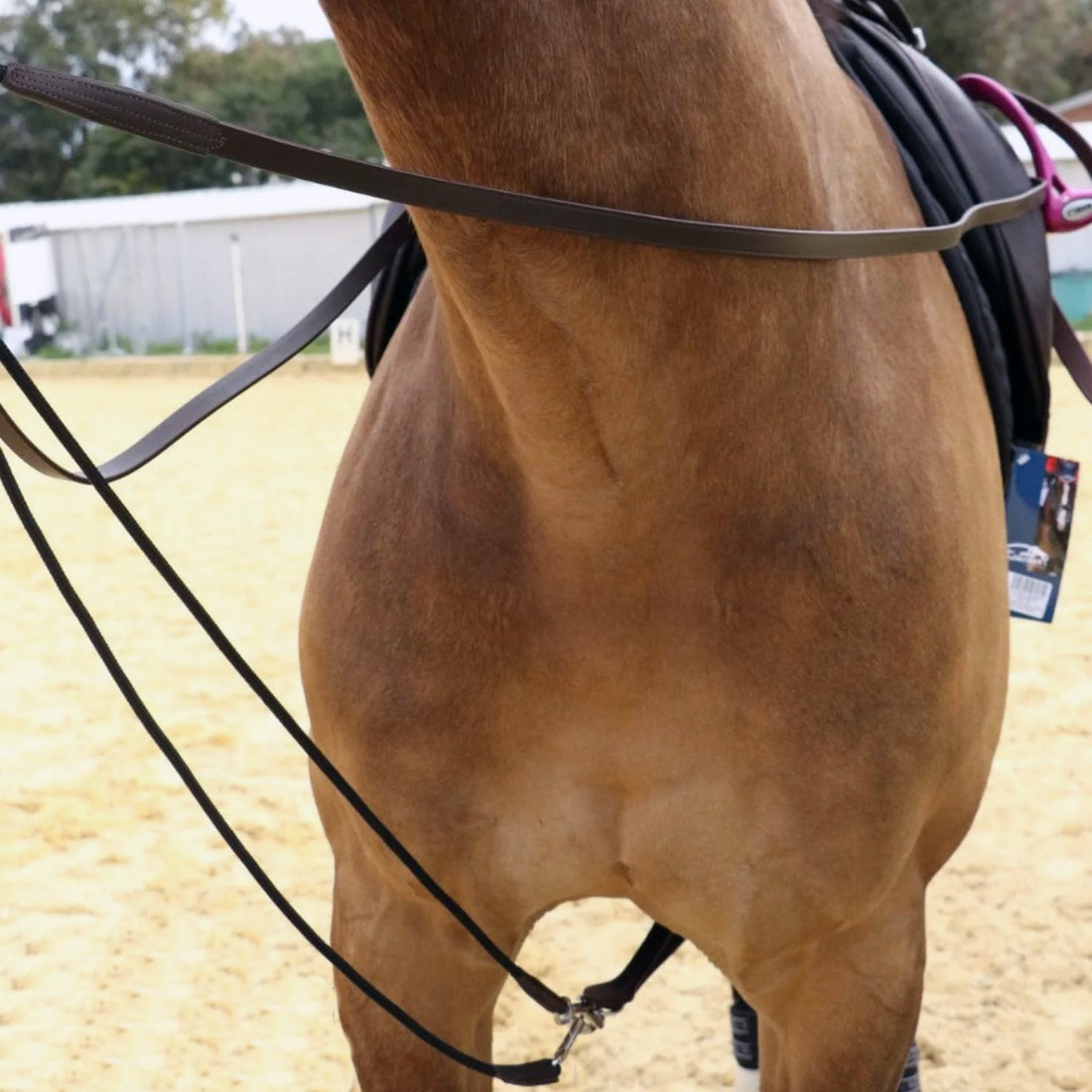 KENTAUR - Draw Reins with Rope