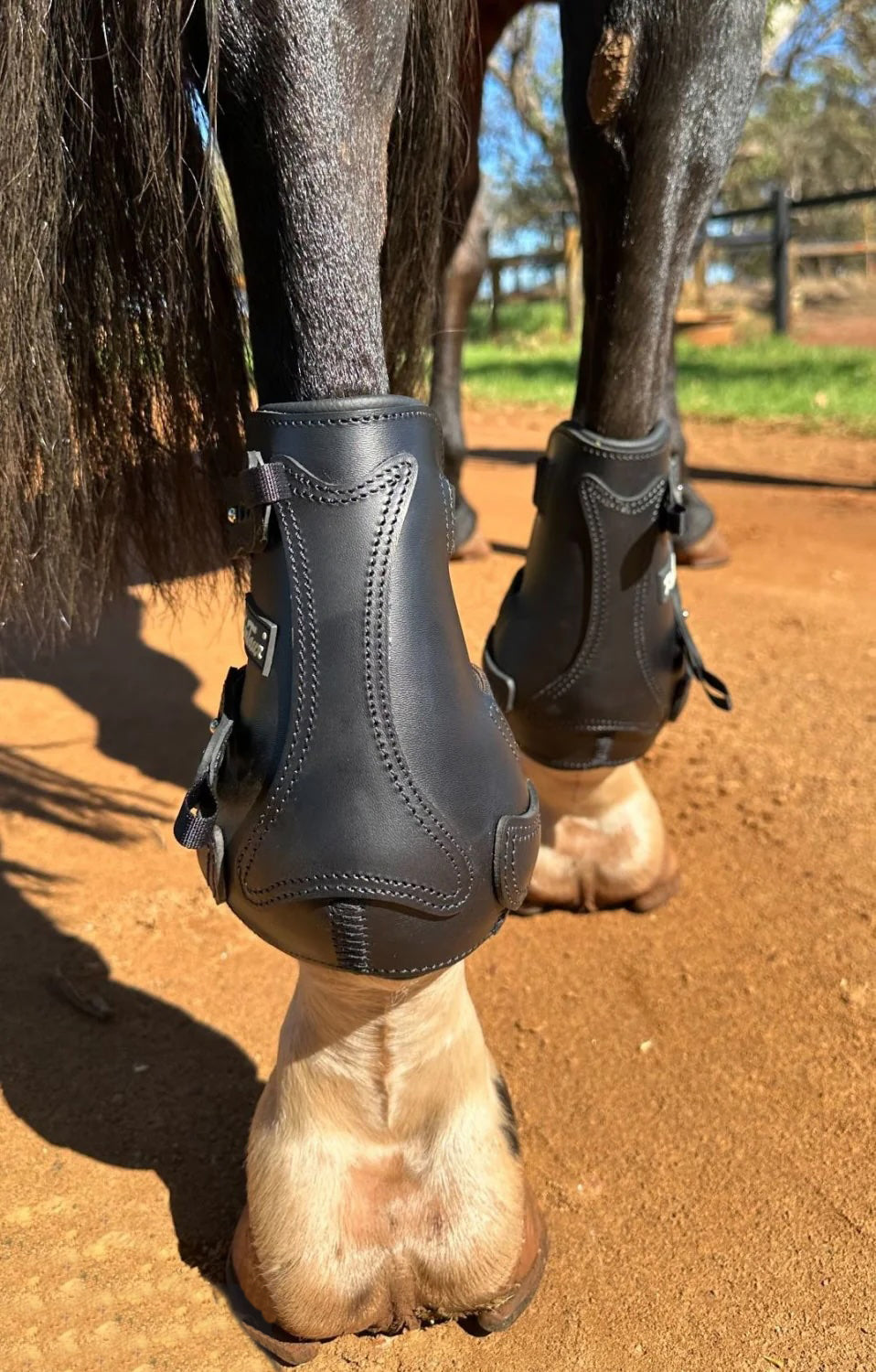 KENTAUR - Flicker 20cm Hind Boot