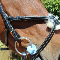 KENTAUR - Knoxville Bridle