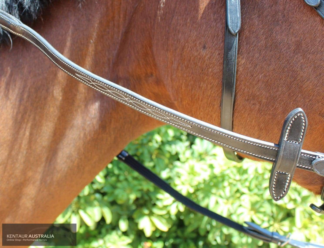 KENTAUR - Knoxville Bridle