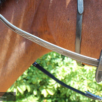 KENTAUR - Knoxville Bridle