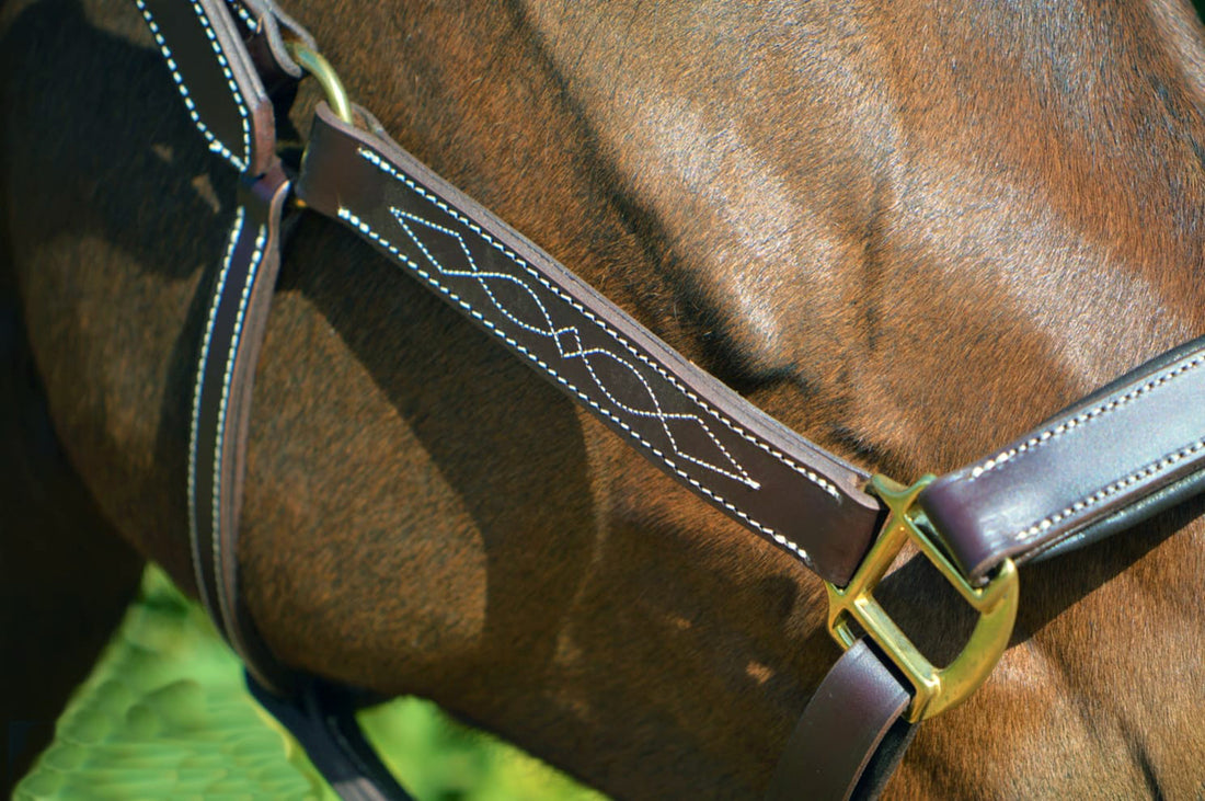 KENTAUR - Leather Halter with Decorative Stitching