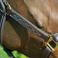 KENTAUR - Leather Halter with Decorative Stitching