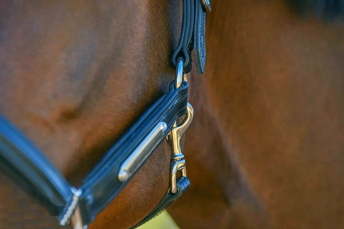 KENTAUR - Leather Halter with Name Plate