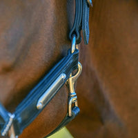 KENTAUR - Leather Halter with Name Plate