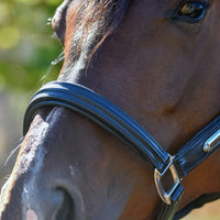 KENTAUR - Leather Halter with Name Plate