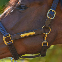 KENTAUR - Leather Halter with Name Plate