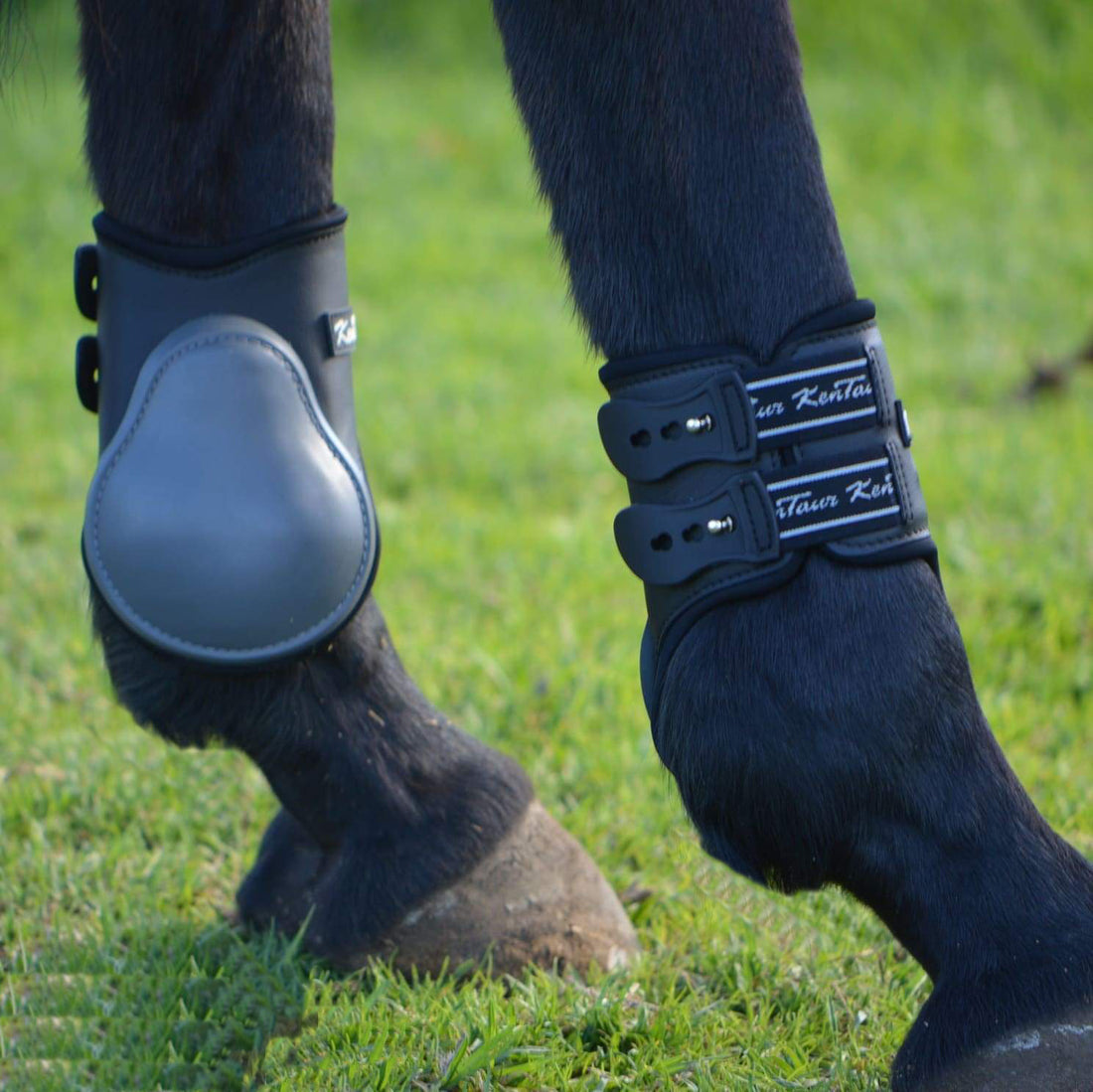 KENTAUR - Mega Jump Hind Boot