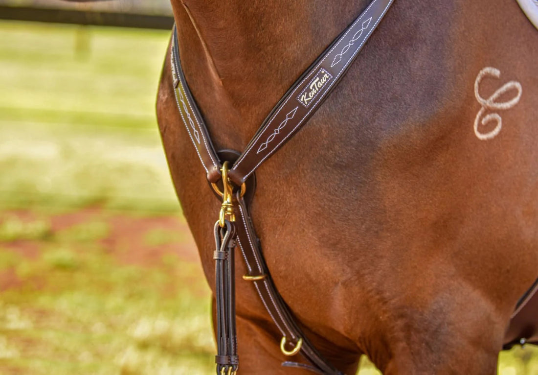 KENTAUR - Napoli Breastplate CL