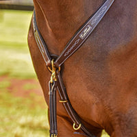 KENTAUR - Napoli Breastplate