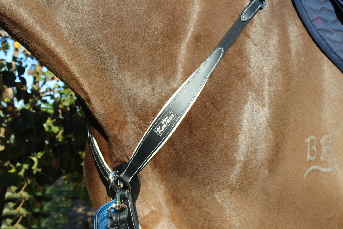 KENTAUR - Napoli Breastplate CL