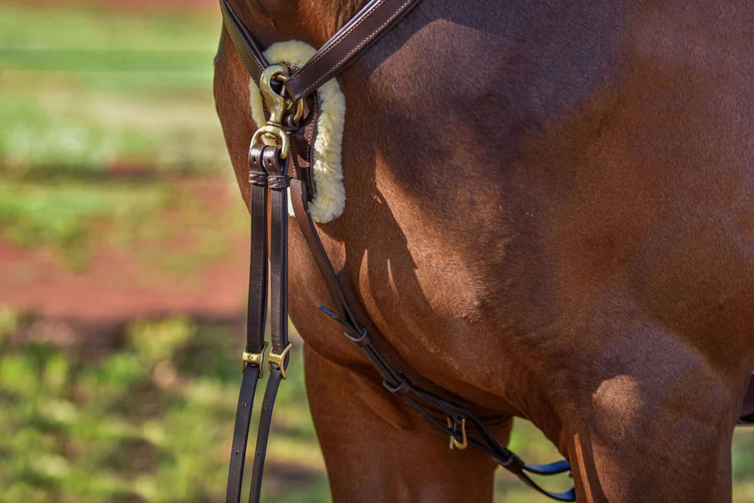 KENTAUR - Palermo Breastplate