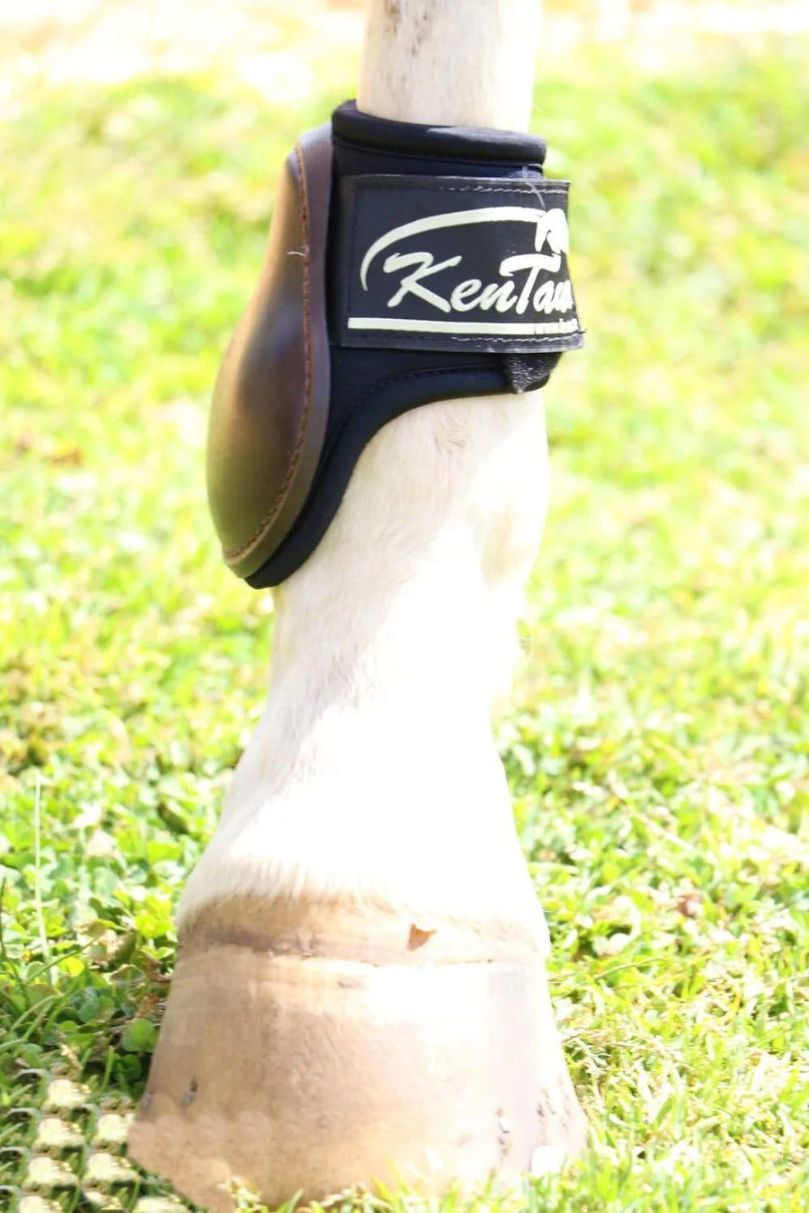 KENTAUR - Pro Jump Fetlock Boot