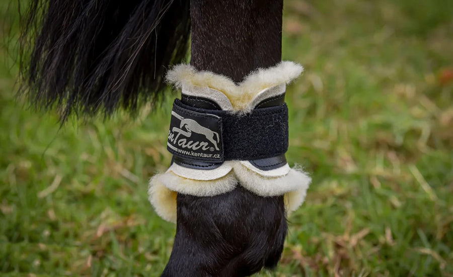 KENTAUR - Profi Jump Fetlock w/ Medical Sheepskin