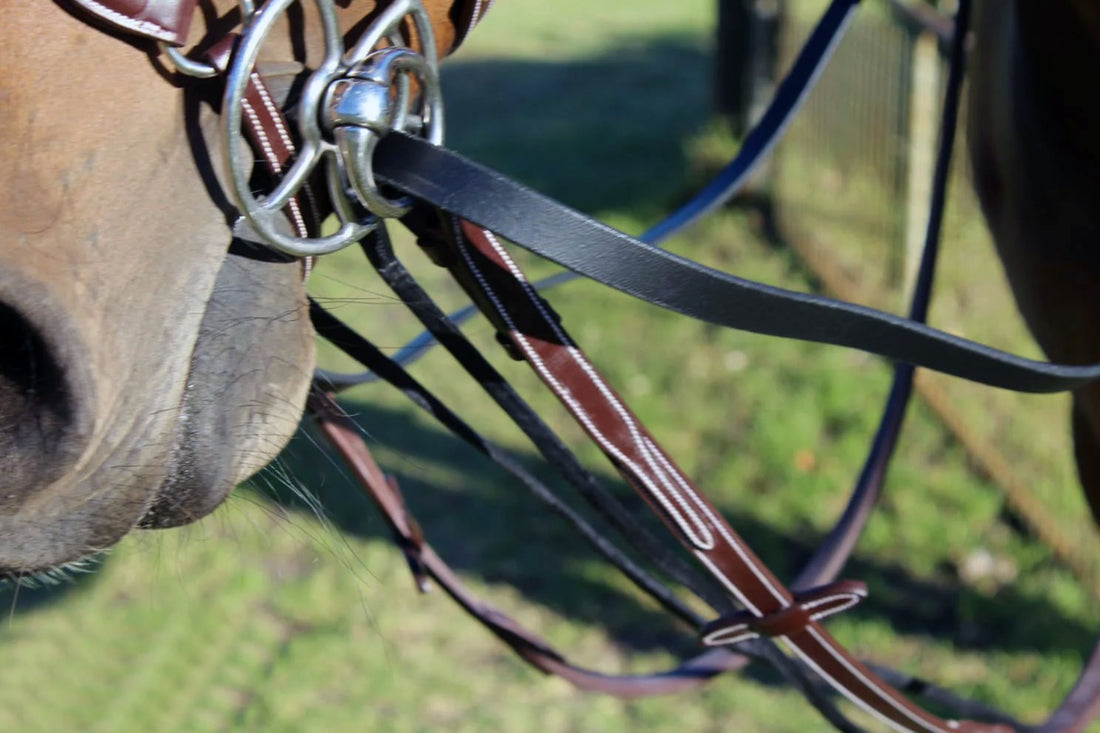 KENTAUR - Draw Reins with Leather Rope